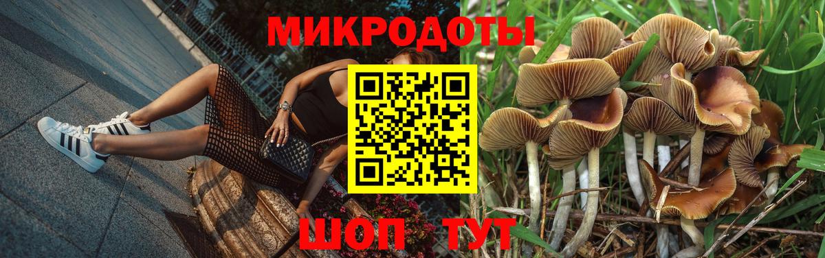 Галлюциногенные грибы MAGIC MUSHROOMS Сыктывкар