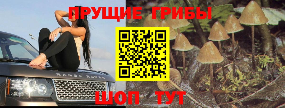 Галлюциногенные грибы прущие грибы  Псилоцибиновые грибы ЛСД  Вход с VPN  Сыктывкар 